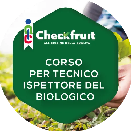 Badge pubblico 22129